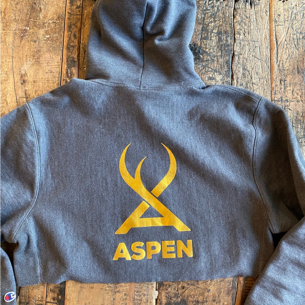 Champion Gray Cropped Hoodie with Gold Aspen Design, sz M